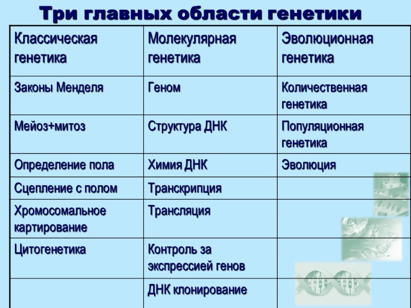 Три главных области генетики
